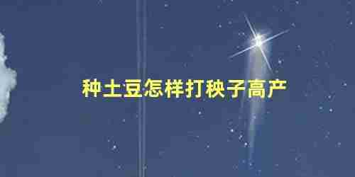 土豆如何种高产个大(土豆秧旺长能打顶吗?)